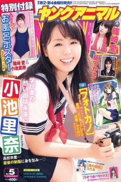 辛巴狮子王2